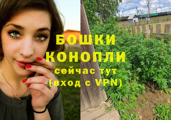 трава Алзамай