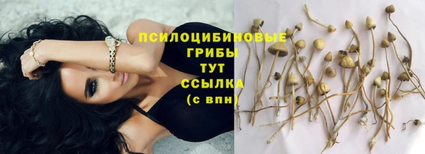 кокаин колумбия Зерноград