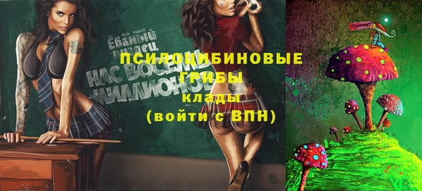 каннабис Гусев