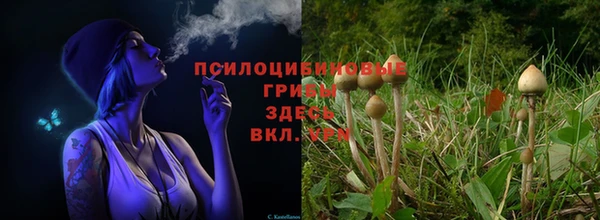 трава Алзамай