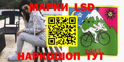 молекула духа Будённовск