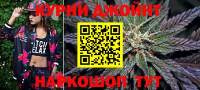 молекула духа Будённовск