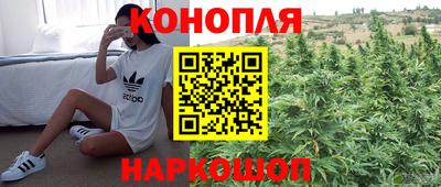 молекула духа Будённовск