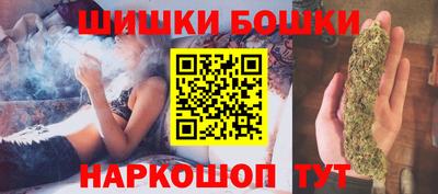 молекула духа Будённовск