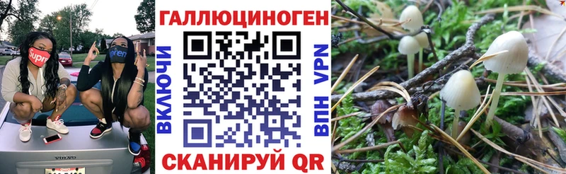 Галлюциногенные грибы мицелий  Апшеронск 