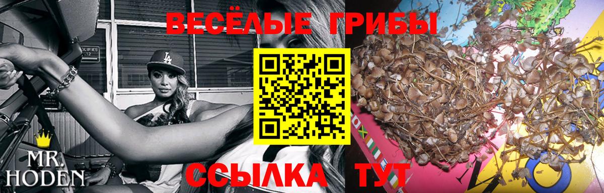 Псилоцибиновые грибы мухоморы  Вход с VPN  Псилоцибиновые грибы Psilocybine cubensis  Апшеронск 