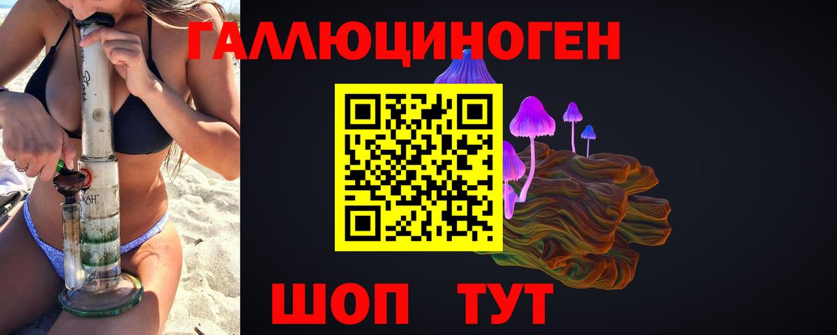 Галлюциногенные грибы Psilocybine cubensis Апшеронск
